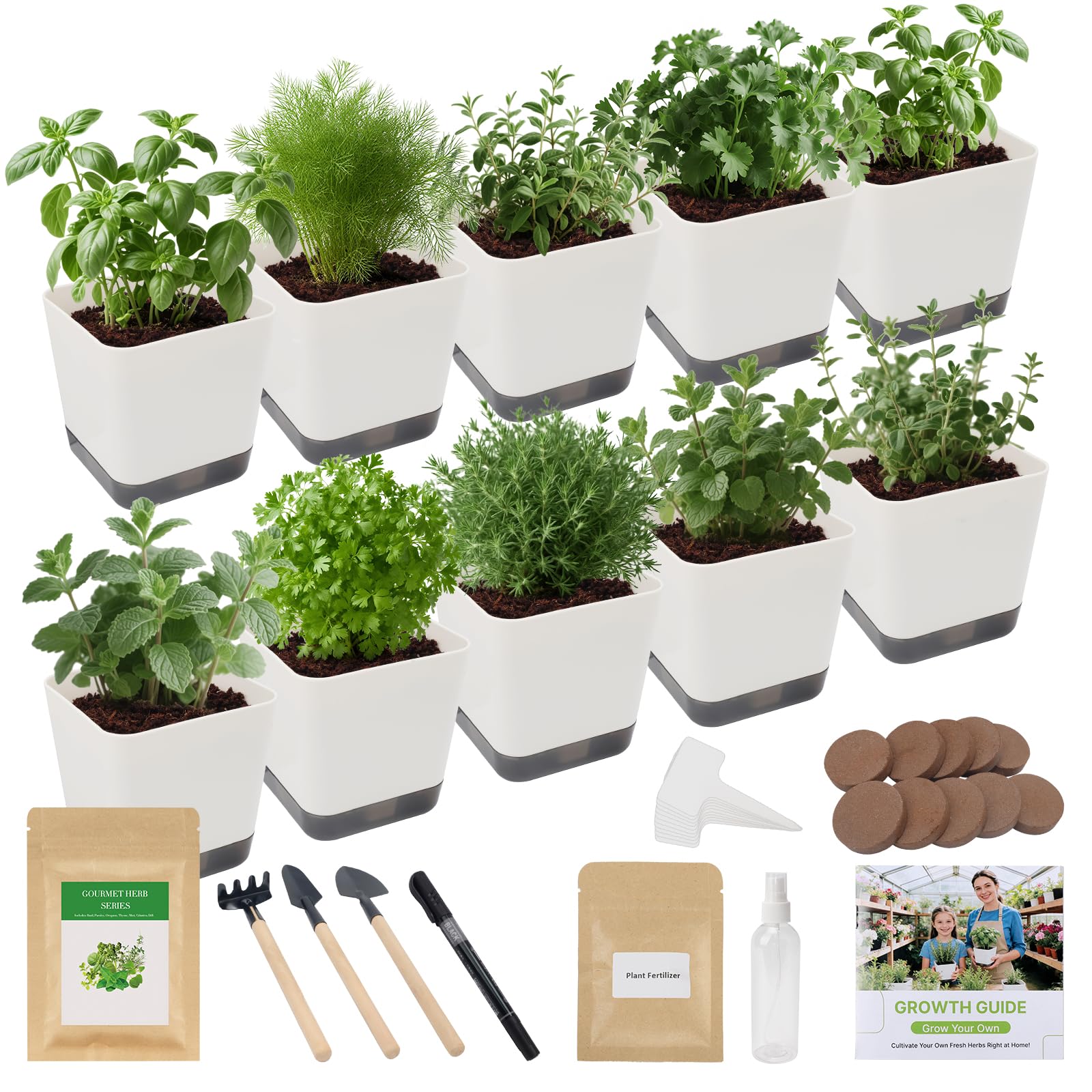 Photo 1 of 10-Set Indoor Herb Garden Starter Kit, 7 Seeds Growing into Basil, Parsley, Thyme, Mint, Cilantro, Dill, Oregano Including 10 White Pots, Markers, Nutritional Soil, Ideal Christmas Gifts for Women