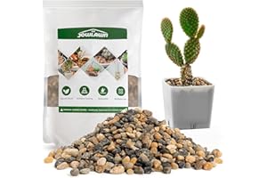 Jowlawn 3lb Decorative Rocks for Planters, Pots Indoor, Landscaping in Garden, Vases, Aquarium, Polished River Stones, 6-9mm
