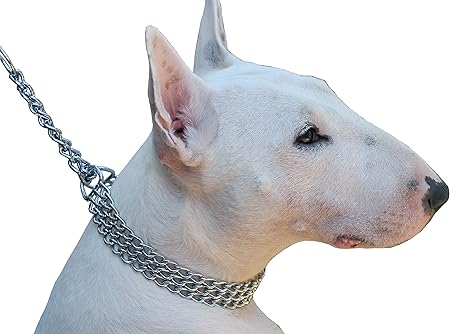 martingale dog collar with chain