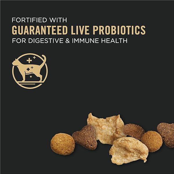 PURINA PRO PLAN WITH PROBIOTICS, HIGH PROTEIN DRY KITTEN FOOD, SHREDDED BLEND CHICKEN & RICE FORMULA – 3 LB. BAG