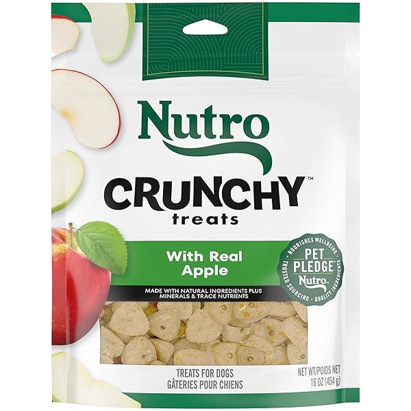 NUTRO CRUNCHY DOG TREATS WITH REAL APPLE, 16 OZ. BAG