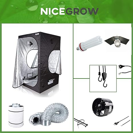 Nice Grow Growset 60 Dark Box Energiesparlampe G-Shock 200W Blüte Axial Flo Komplettset