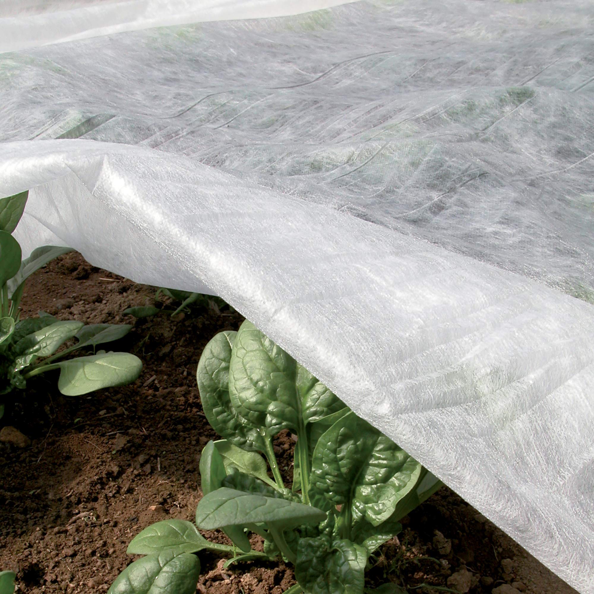 TENAX Ortoclima Plus 2.4 x 10 m White, Winter Anti-Frost Protective Veil for Plants, Non-Woven Fabric 30 g/m, Protects Flowers and Vegetables from Cold, Wind Frost