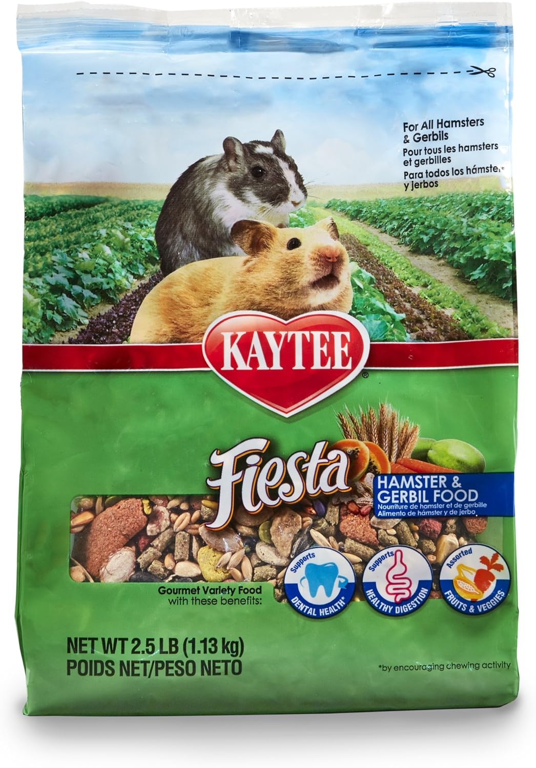 best cat food and water bowls