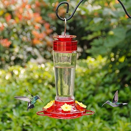 Amazon Com Shrdaepe Hummingbird Feeder Glass Bottle Bird Feeders 5 Feeding Ports 10 Ounce Nectar Capacity Garden Outdoor