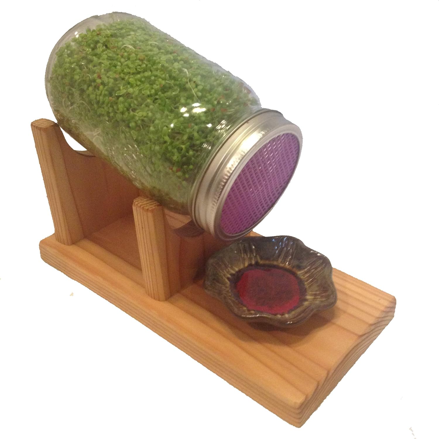 The Sprout Stand Sprouting Kit: Grocery & Gourmet Food