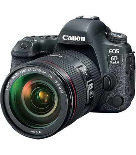 Amazon.com : Canon EOS 6D Mark II DSLR Camera with 24-105mm f/4L