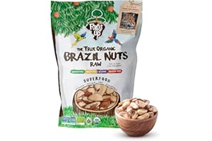 FLORESTA EM PÉ Snack The True Organic Brazil Nuts 15 oz – Raw and Unsalted – Kosher – Healthy-Rich in Vegetable Protein – Harvested in Amazon Rainforest – Fresh, Vegan and Gluten Free – Forest Up