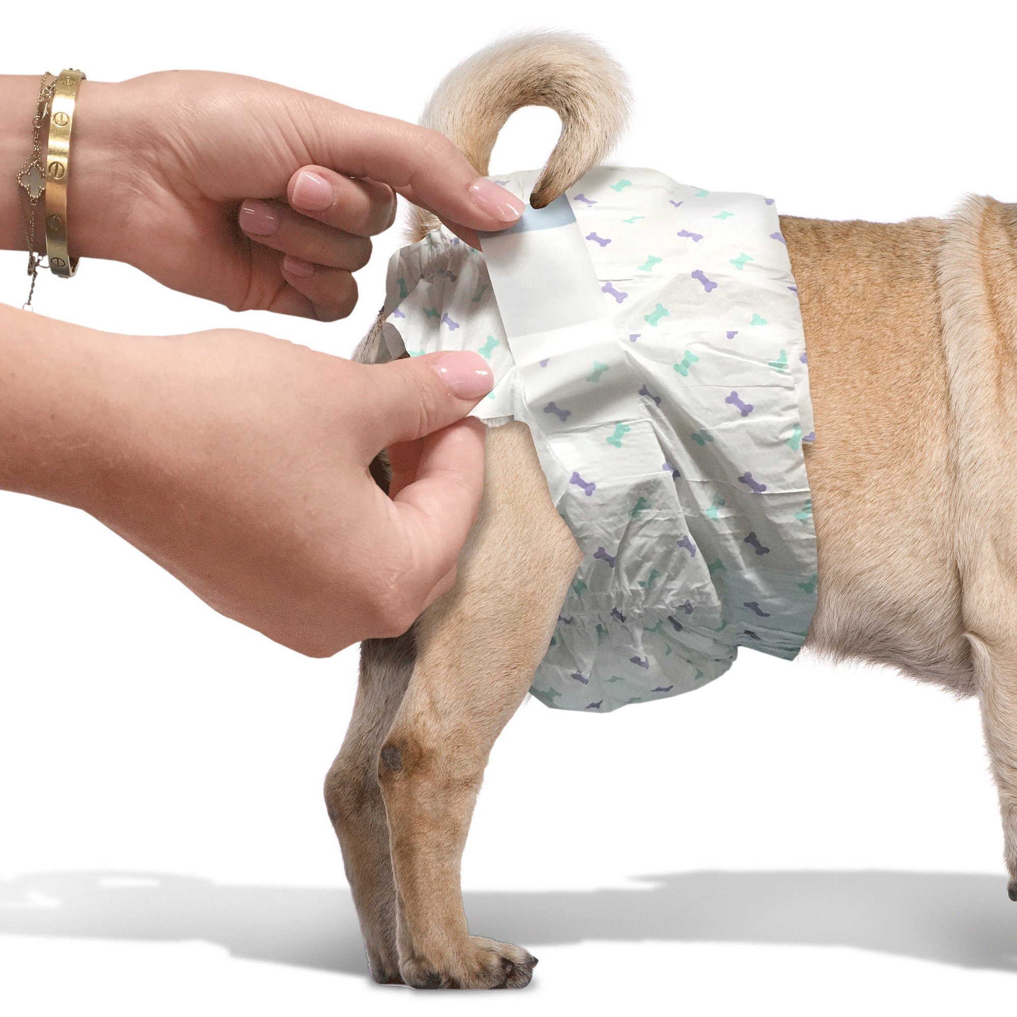 OUT! Disposable Female Dog Diapers, XS S eBay
