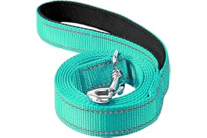 Erbine 6FT Reflective Nylon Dog Leash with Soft Padded Handle for Walking, Running and Training, Supports Small Medium and Large Dogs (Turquoise, 3/4Inch Wide)