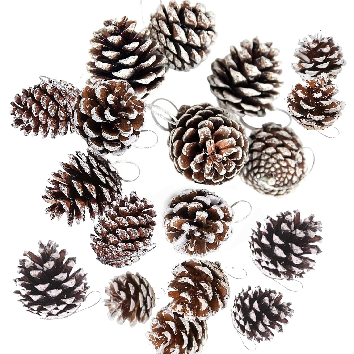 Ompinda Christmas Pine Cones - 18 Pcs Natural Mini Snow Ornaments - Rustic Dried in Bulk for DIY Crafts, Xmas Tree Party Decoration