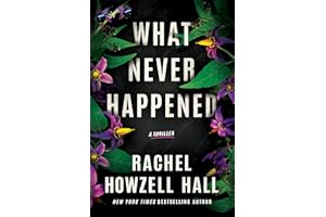 What Never Happened: A Thriller