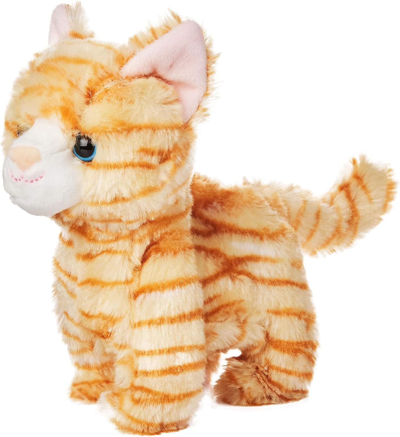 kid connection walking cat