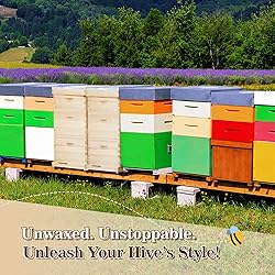 BeeCastle 10 Frame Langstroth Bee Hive, Beehive