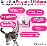 NutriPaw All-Itch Immunity Treats For Cats Salmon Flavour Vet Checked view 2