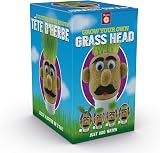 Funtime Gifts Grasshead Novelty Grow Your Own Grass Head Green view 3