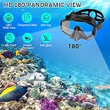 Immver Snorkel Set Adults Panoramic Mask Dry Snorkel Tempered Glass view 2