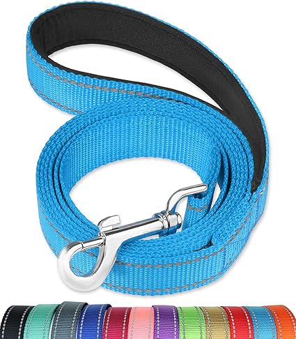 FunTags Reflective Dog Leash with Soft Padded Handle