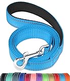 FunTags 6FT Reflective Dog Leash with Soft Padded