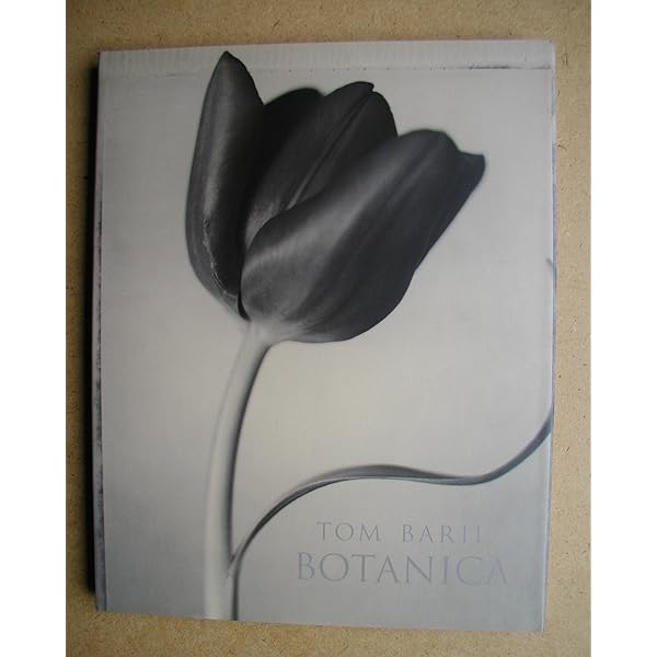 Amazon.com: Mapplethorpe: The Complete Flowers (English and German