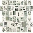Sage Green Room Decor, Matisse Wall Collage Kit Posters for Aesthetic Room, Prints, Dorm Decor for Teen Girl (50pcs 4x6 inch)