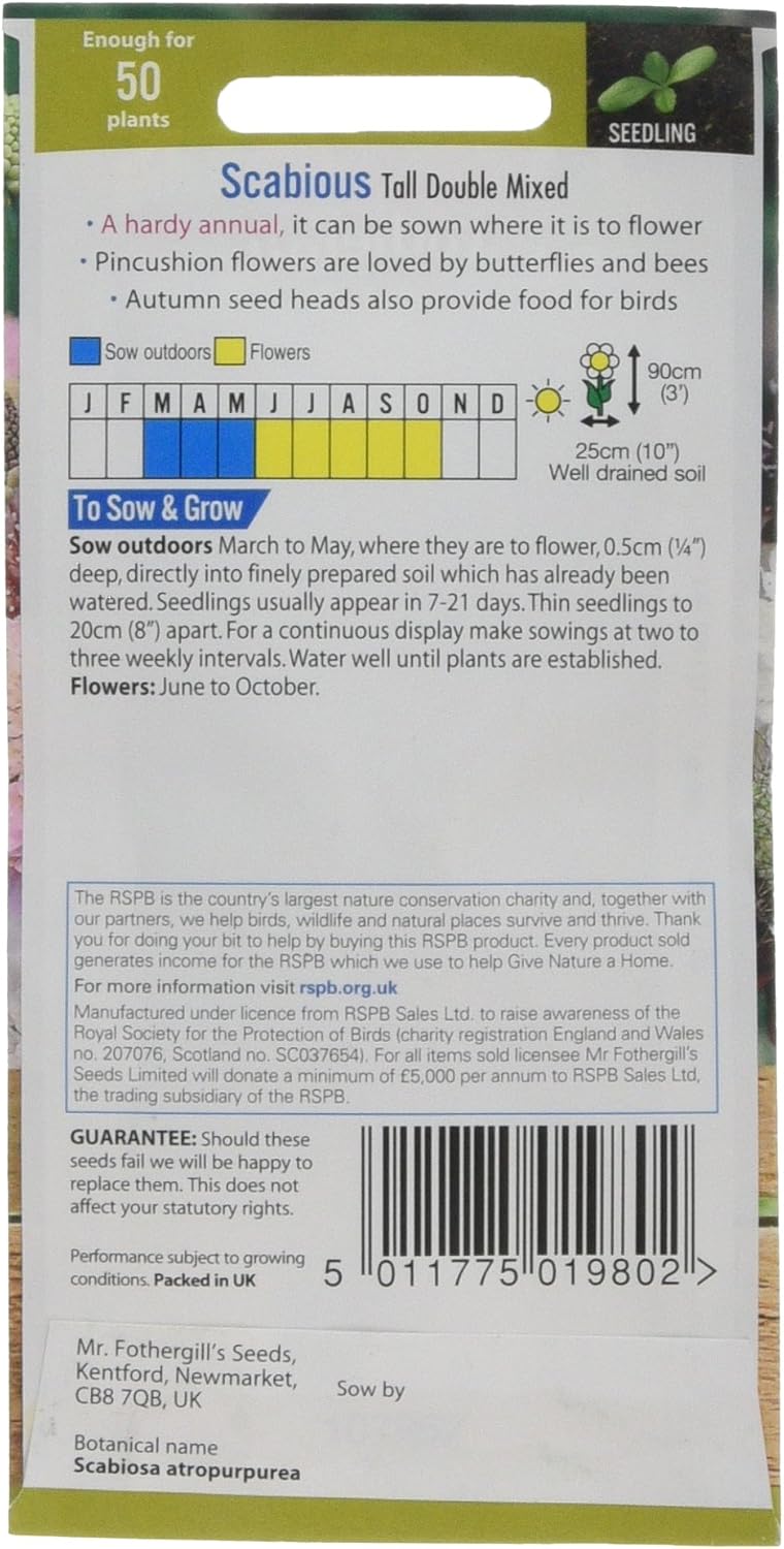Mr. Fothergill's Tall Double Scabious Mixed Flower Seeds - Image 3