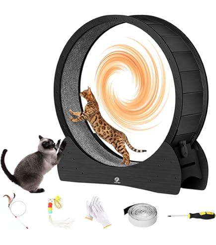 Rueda De Ejercicio Para Gatos Mondeer - 110 Cm Diámetro, Con Alfombra Extraíble Y Juguete | Estable, Silenciosa, Ideal Para Interiores