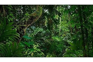 Riivvdise Tropical Rainforest Aquarium Background Psychedelic Forest Terrarium Background Old Trees Woodland Reptile Habitat Background Green Leaves Aquarium Background Backdrop Durable Vinyl 48x24in