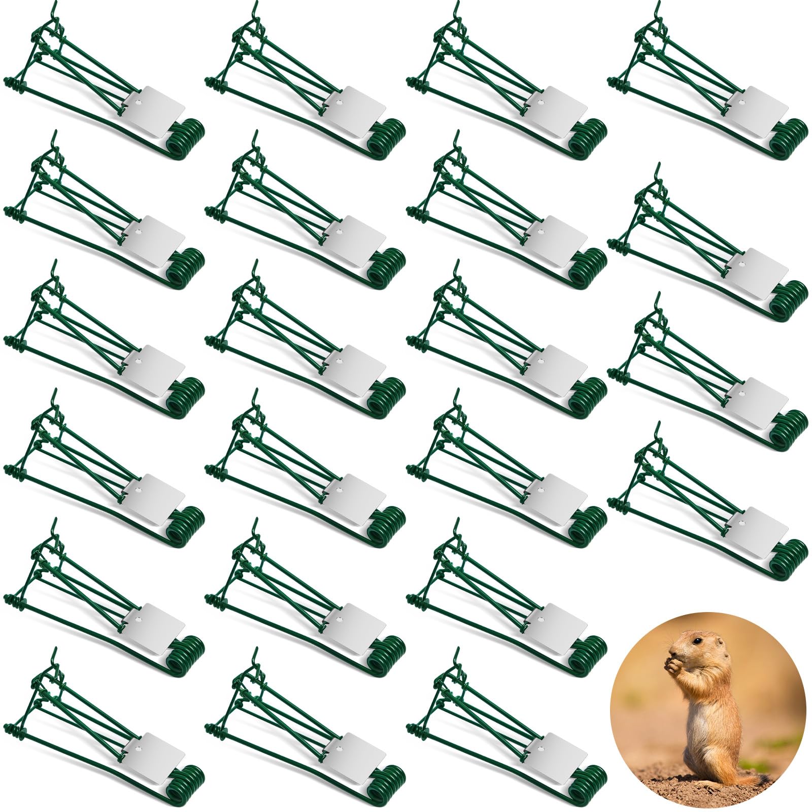 Photo 1 of Qualirey 24 Pcs Outdoor Gopher Trap Easy Set Mole Trap Weather Resistant Gopher Killer Vole Killer for Lawn Garden Farm (Green)