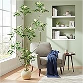 TNGGNT Artificial Locust Tree：6FT Faux Black Locust Floor Plant with White Flowers Small Round Silk Leaves & Elegant Branches in Beige Ribbed Planter for Indoor Home Office Decor Hotel Patio Studio