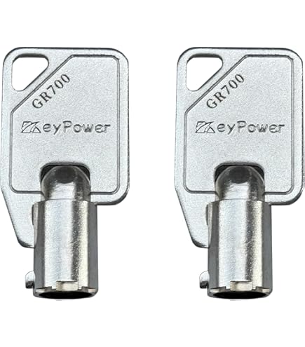 小物 geruga key 小物 geruga key 4665491-Switch-with-Keys-