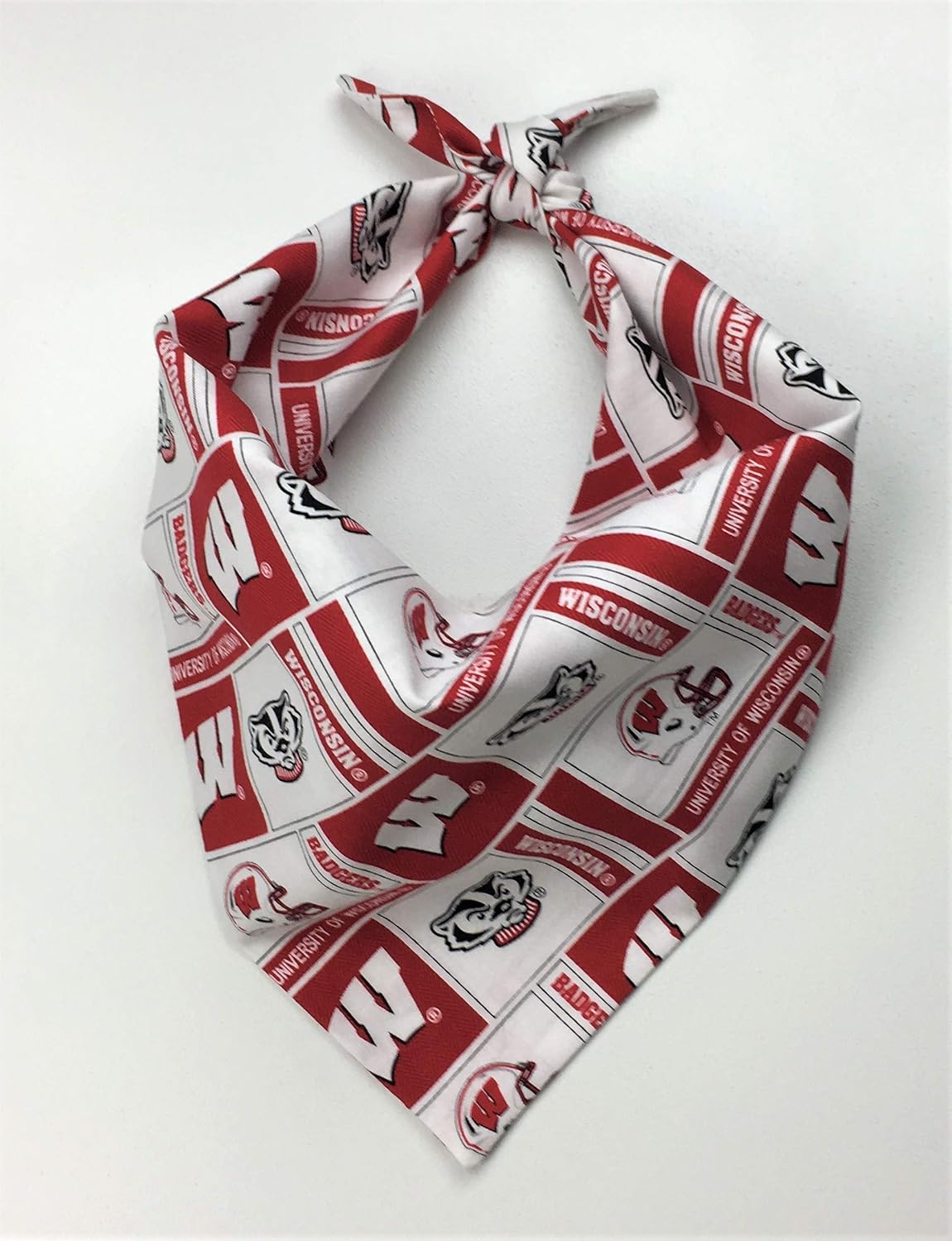 wisconsin badger dog apparel