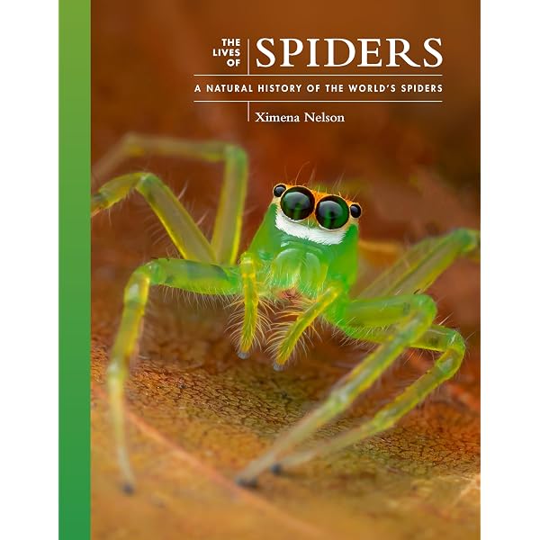 Amazon.com: Spider Biology: 9783031960109: Foelix, Rainer: Books
