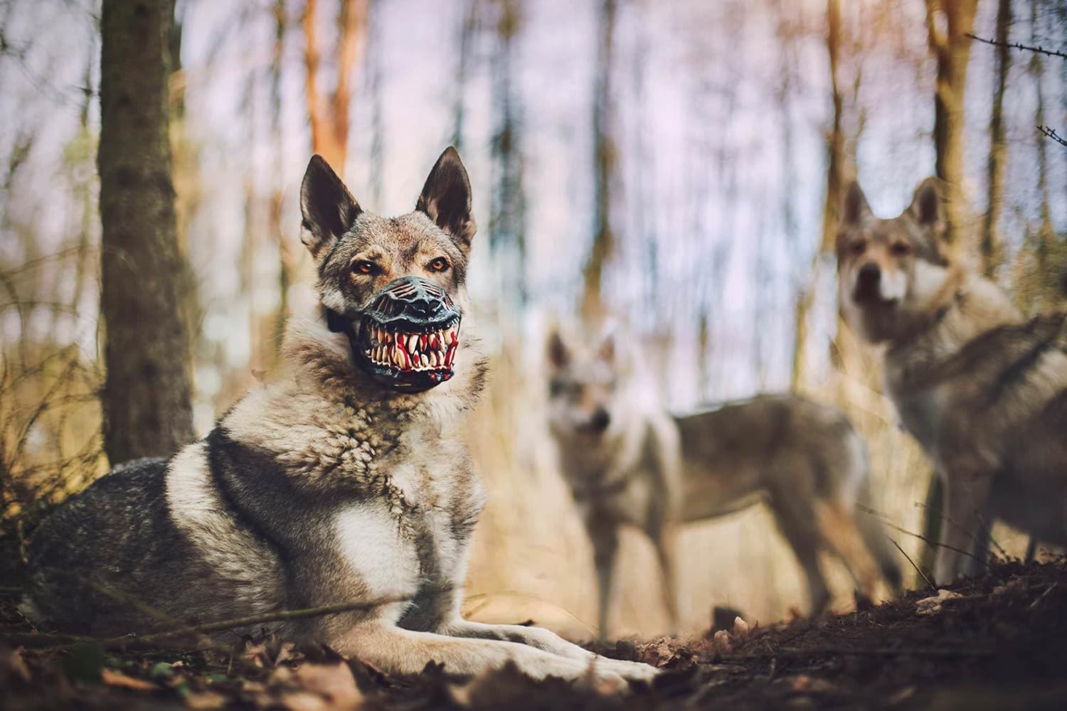 scary dog muzzle amazon