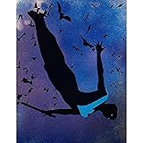 Nightwing Dick Grayson Metal Art Poster