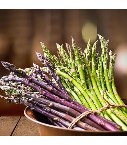 Amazon.com : Jersey Giant Live Asparagus Bare Root Plants