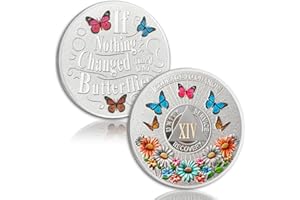 YRCKUDZKG Colorful Sunflower 14 Year Sobriety Coin Butterfly Fourteen Year Sobriety Chip Courage to Change AA Chips and Medallion Silver AA Coin Recovery Anniversary Token Sobriety Gifts for Men Women
