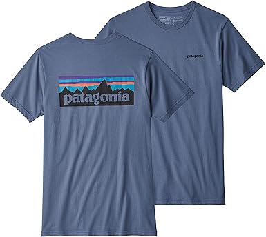 patagonia t-shirt