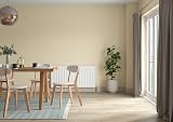 Dulux Weathershield Smooth Masonry Paint Buttermilk 5L view 6