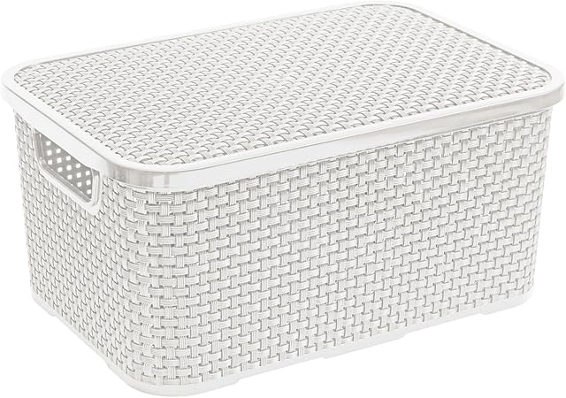Branq Ratán Caja con Tapa Caja, Weiß, 10 L: Amazon.es: Hogar