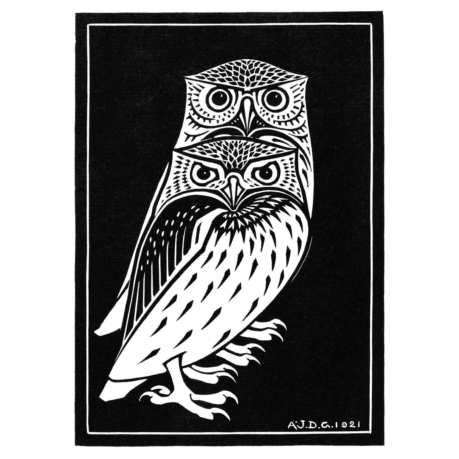 Wee Blue Coo Two Owls Illustration Julie De Graag Large Wall Art Print Canvas Premium Poster