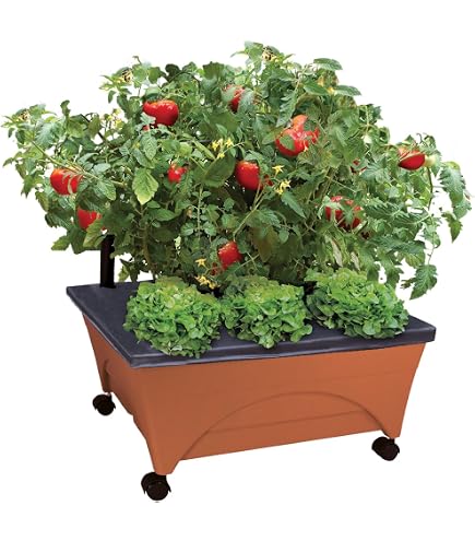 soil-less potting mix Organic Premium Blend Potting Mix 1 cu.ft. – 4 Pack – Back to the Roots main image 1