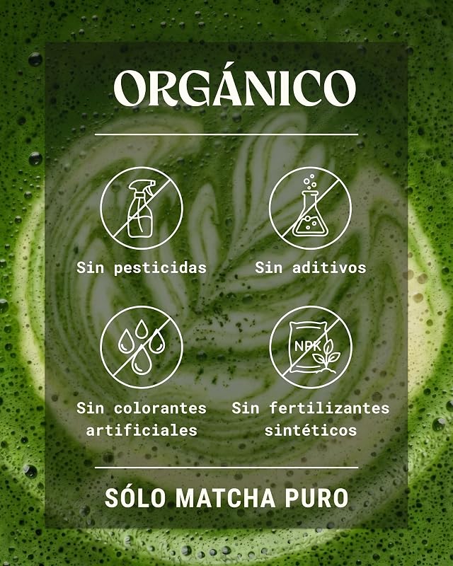 Matcha Japonés Premium Bio en Polvo L-Teanina