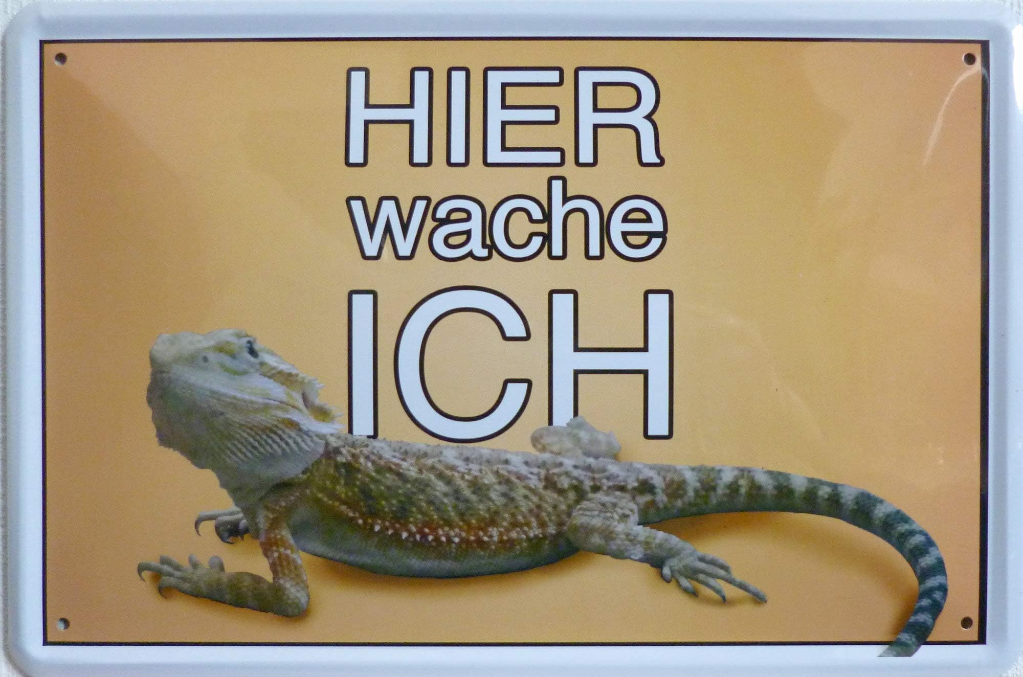 Bearded Dragon Lizard Argame Pogonhier Wache Ich. Warning/Animal Tin Sign with "Doorknob Sign 03