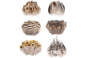 Daieeparty 180pcs Small Pheasant Feathers 6 Style Mixed Feathers Natural Feathers for Crafting Wedding Dream Catcher Hats Decoration