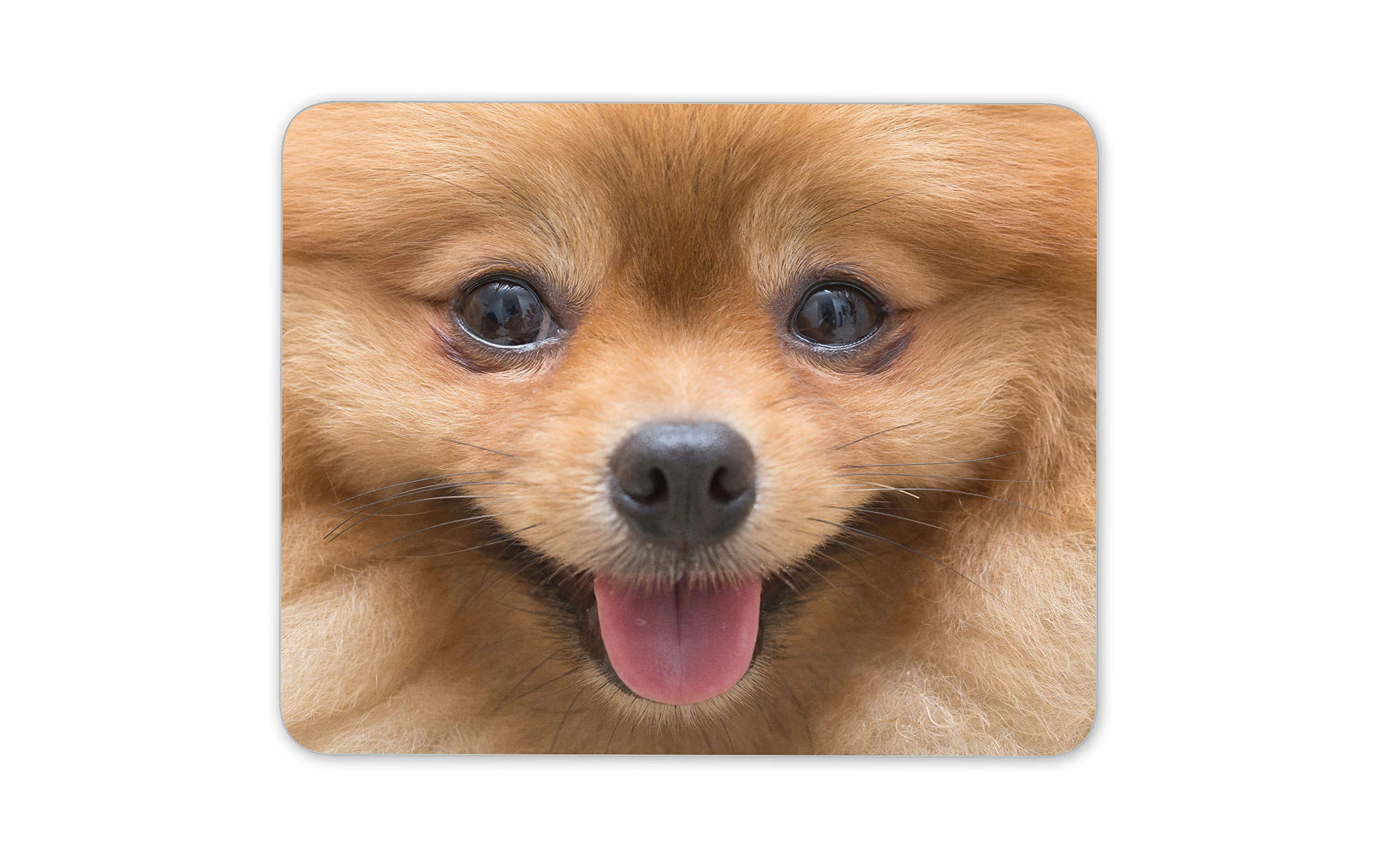 Cute Pomeranian Dog Mouse Mat Pad - Animal Computer #14256