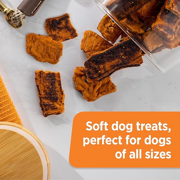 RACHAEL RAY NUTRISH TURKEY BITES TURKEY RECIPE WITH HICKORY SMOKE BACON FLAVOR DOG TREATS, 12 OZ. POUCH
