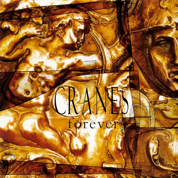 (未使用･未開封品)Lost Language of Cranes [DVD] Amazon.com: The Lost Language of Cranes (1991) [ NON-USA