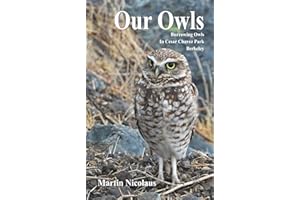 Our Owls: Burrowing Owls in Cesar Chavez Park, Berkeley