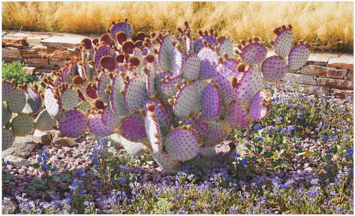 Best  Tile Floor Steam Cleaner 2015